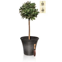 55cm Carbon Glaze Effect Bowl Planter - By Primrose™ -Cheap PLANTERS Store PP7880 main image dcd5