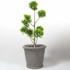 50cm Classic Rim Concrete Round Planter - Medium -Cheap PLANTERS Store PP7953 add image 2 123f