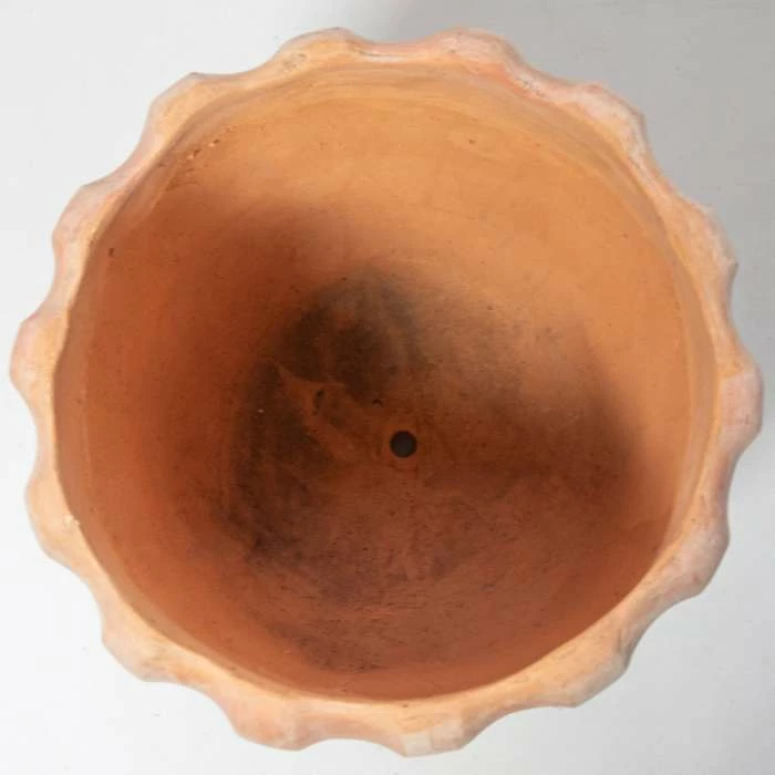 70cm Terracotta Scalloped Finish Tall Planter - Large 2 70cm Terracotta Scalloped Finish Tall Planter - Large - Image 2