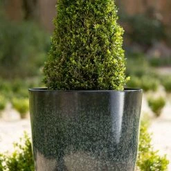 53cm Tall Round Planter in Dark Green 7 53cm Tall Round Planter in Dark Green -Cheap PLANTERS Store PP80BLKL 1 0170