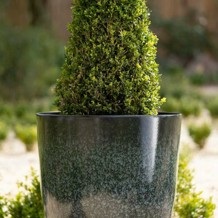 53cm Tall Round Planter in Dark Green 3 53cm Tall Round Planter in Dark Green - Image 3