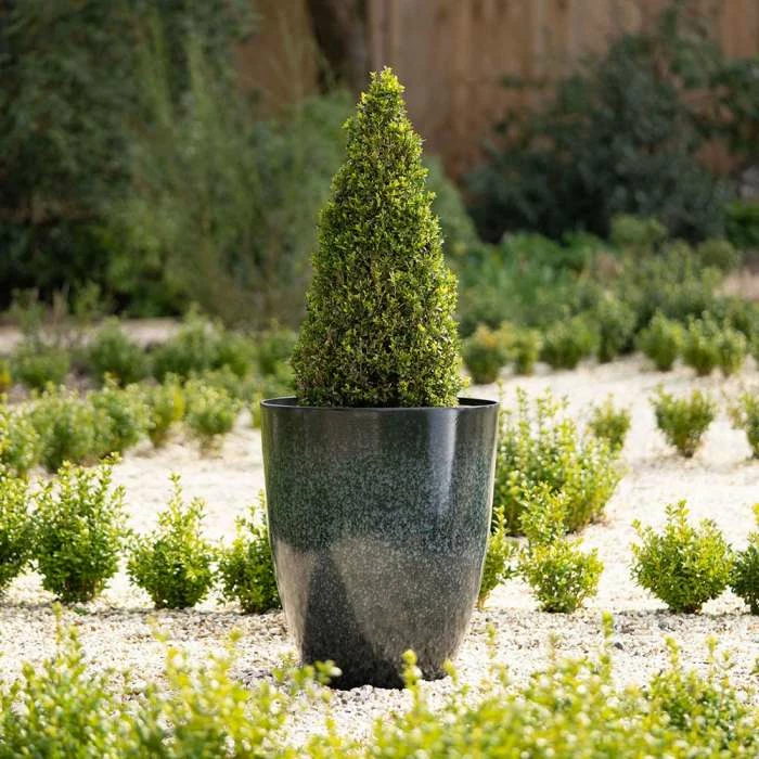 53cm Tall Round Planter in Dark Green 2 53cm Tall Round Planter in Dark Green - Image 2