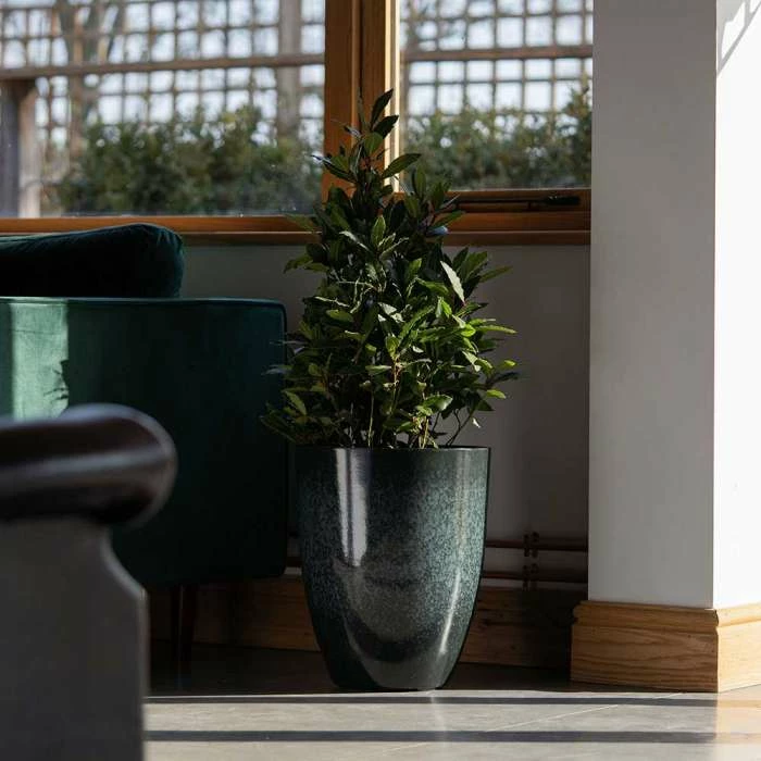 43cm Tall Round Planter in Dark Green 2 43cm Tall Round Planter in Dark Green - Image 2