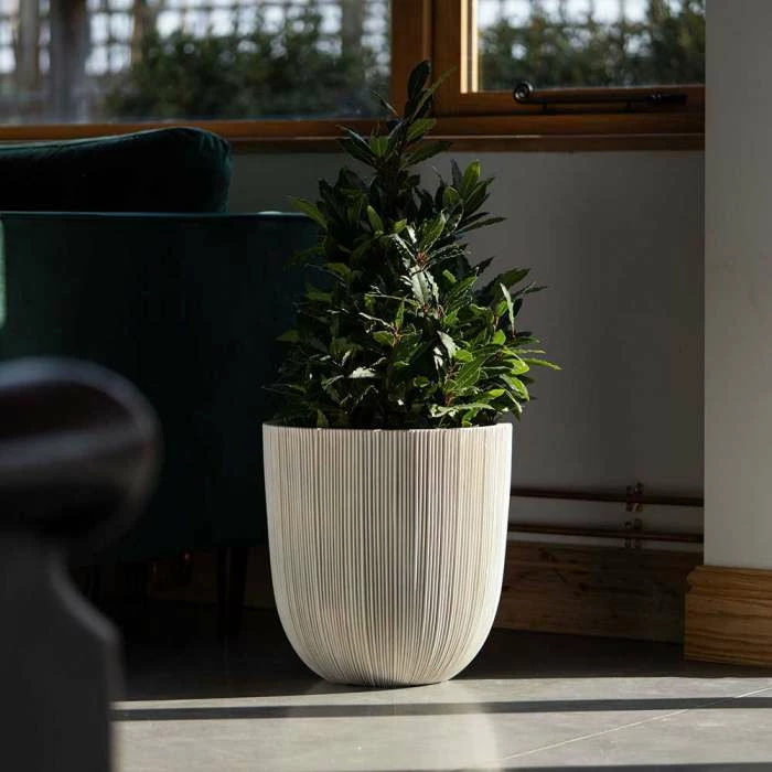 38cm Round Ridged Planter in White 2 38cm Round Ridged Planter in White - Image 2