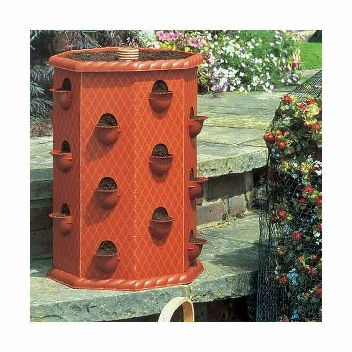 Strawberry Fruit Planter Barrel 2 Strawberry Fruit Planter Barrel - Image 2