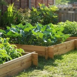 200 Litres - The Chamberlain Wooden Raised Grow Bed by Lacewing™ - 100cm² (H20cm)