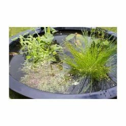 H34cm Black Pond-In-A-Pot Wildlife-Friendly Solar Water Feature 13 H34cm Black Pond-In-A-Pot Wildlife-Friendly Solar Water Feature -Cheap PLANTERS Store WF10094SOL add image 3 6b37
