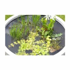 H34cm Black Pond-In-A-Pot Wildlife-Friendly Solar Water Feature 16 H34cm Black Pond-In-A-Pot Wildlife-Friendly Solar Water Feature -Cheap PLANTERS Store WF10094SOL add image 6 6f90