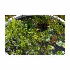 H34cm Red Pond-In-A-Pot Wildlife-Friendly Water Feature -Cheap PLANTERS Store WF9869 add image 2 f032