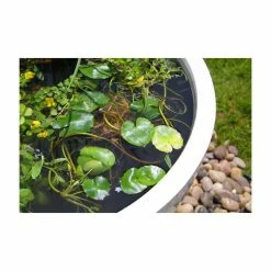 H34cm Red Pond-In-A-Pot Wildlife-Friendly Water Feature -Cheap PLANTERS Store WF9869 add image 3 24c1