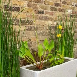 W80cm 'Pond in a Pot' Trough White Fibreglass Planter -Cheap PLANTERS Store WF9901 add image 2 e0e8
