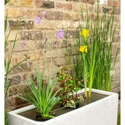 W80cm Ornamental 'Pond in a Pot' Trough White Fibreglass Planter -Cheap PLANTERS Store WF9902 add image 1 f1b7