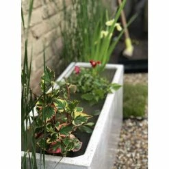 W80cm Ornamental 'Pond in a Pot' Trough White Fibreglass Planter -Cheap PLANTERS Store WF9902 add image 3 c1e4