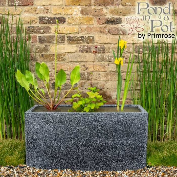 W80cm 'Pond in a Pot' Trough Black Fibreglass Planter Outdoor Use 1 W80cm 'Pond in a Pot' Trough Black Fibreglass Planter Outdoor Use