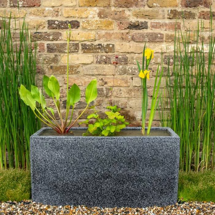 W80cm 'Pond in a Pot' Trough Black Fibreglass Planter Outdoor Use 2 W80cm 'Pond in a Pot' Trough Black Fibreglass Planter Outdoor Use - Image 2