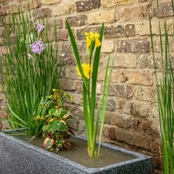 W80cm Ornamental 'Pond in a Pot' Trough Black Fibreglass Planter Outdoor Use -Cheap PLANTERS Store WF9904 add image 1 e9e0