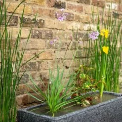 W80cm Ornamental 'Pond in a Pot' Trough Black Fibreglass Planter Outdoor Use -Cheap PLANTERS Store WF9904 add image 2 0bc1