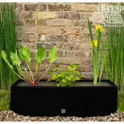 W80cm 'Pond in a Pot' Trough Black Fibreglass Planter