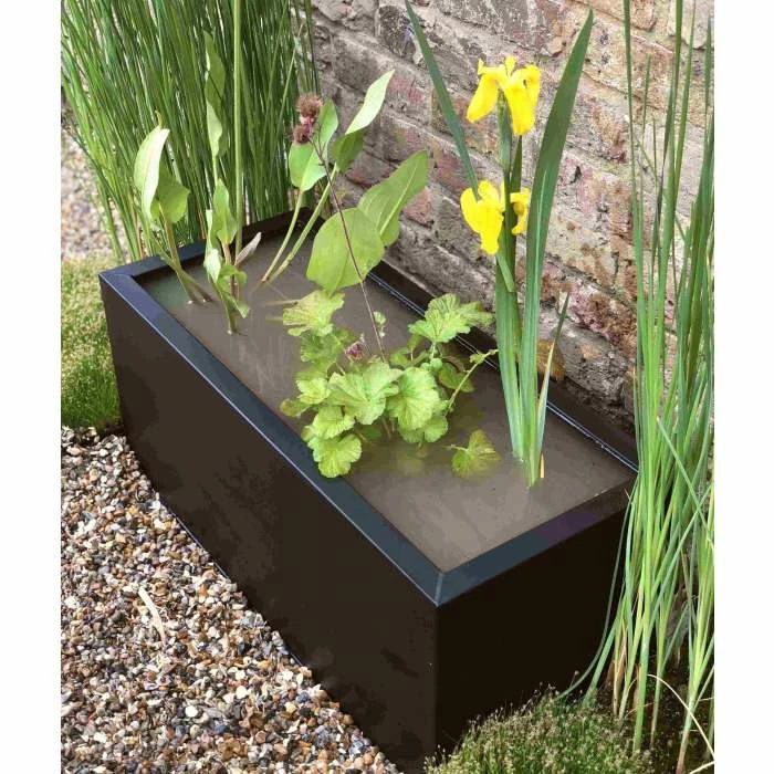 H24cm Pond-In-A-Trough Black Wildlife-Friendly Zinc Planter 6 H24cm Pond-In-A-Trough Black Wildlife-Friendly Zinc Planter - Image 6