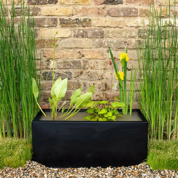 H24cm Pond-In-A-Trough Black Wildlife-Friendly Zinc Planter 2 H24cm Pond-In-A-Trough Black Wildlife-Friendly Zinc Planter - Image 2